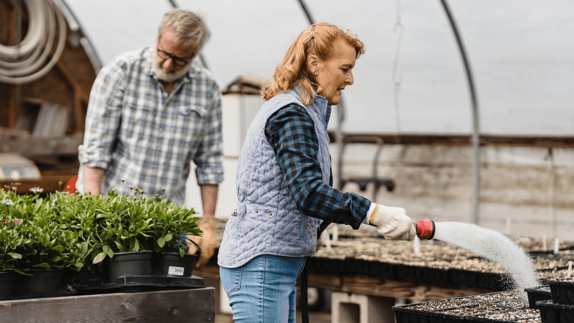 Middle aged man and woman gardening.
