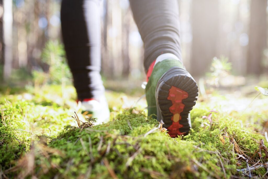 Close-up of the heel and legs of a hiker walking in the woods.
