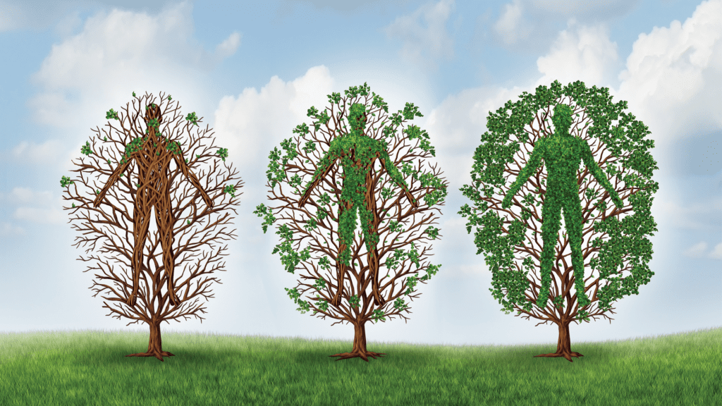 Vector image of a human tree representing human development.