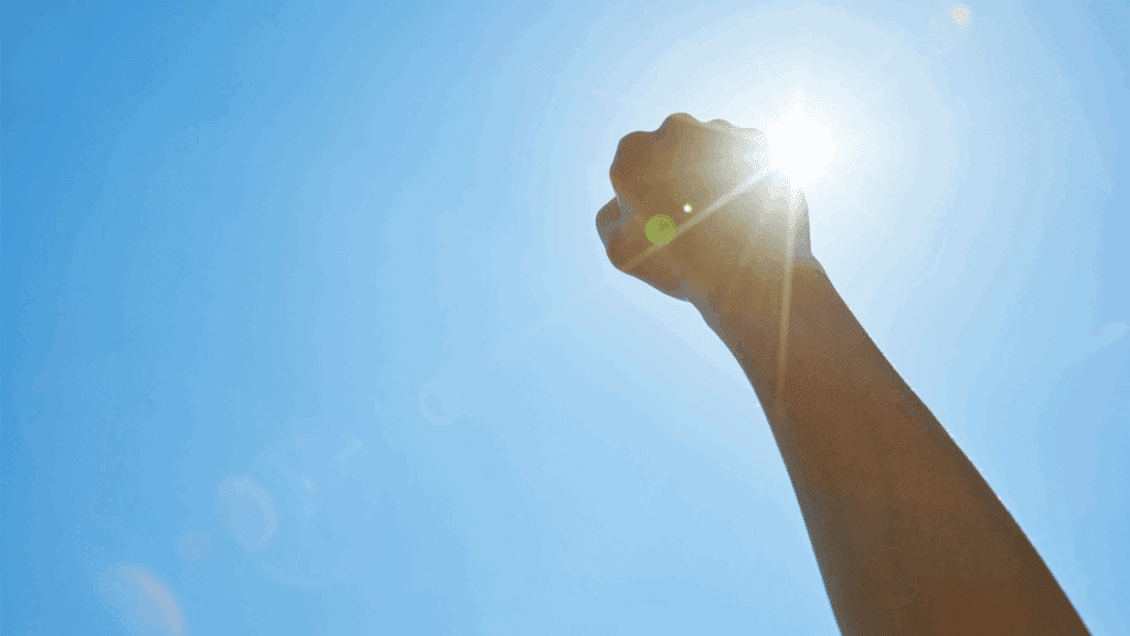 resources-wise-employment